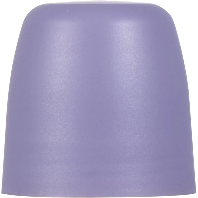 25ml clear glass roll on bottle with silver cap